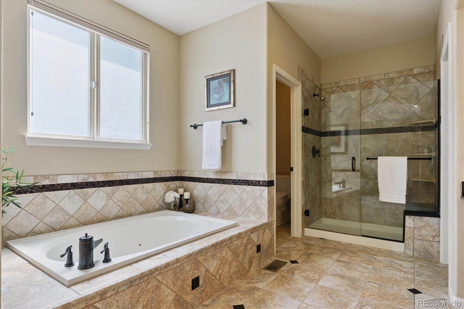MLS Image #21 for 5169  fairfield circle,castle rock, Colorado