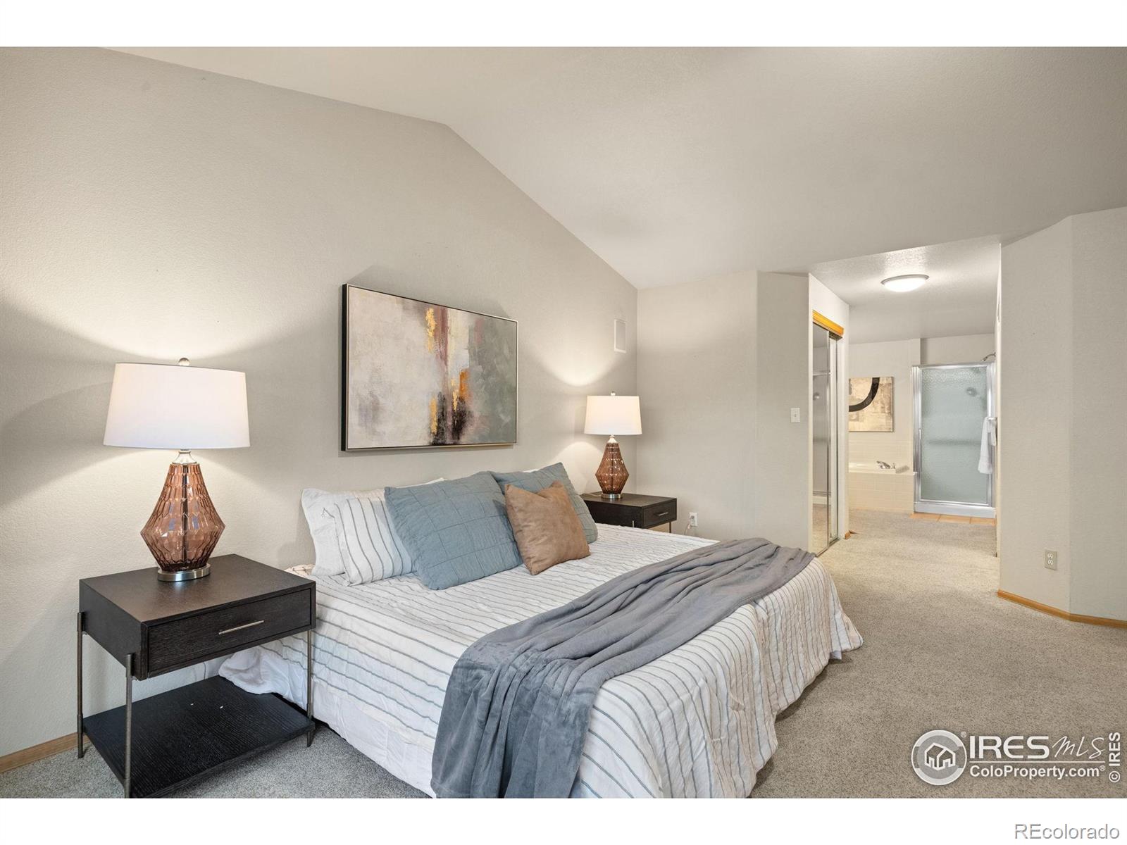 MLS Image #16 for 530  holyoke court,fort collins, Colorado