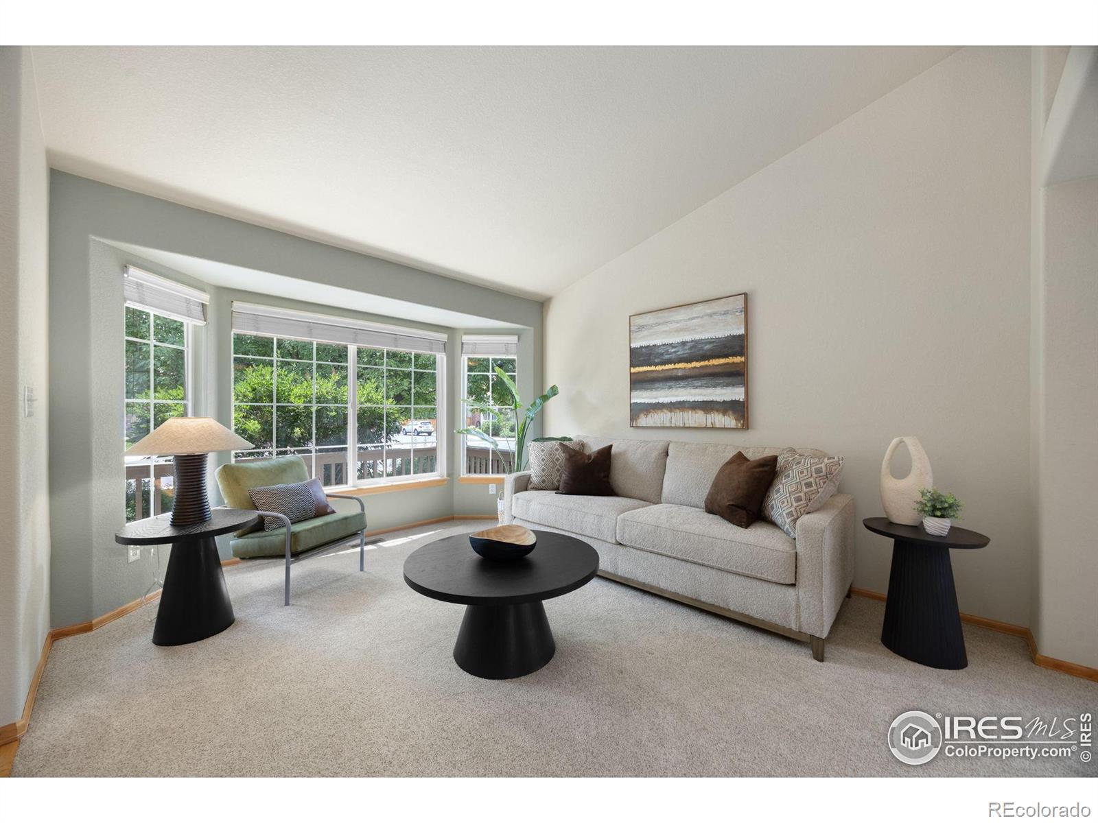 MLS Image #6 for 530  holyoke court,fort collins, Colorado