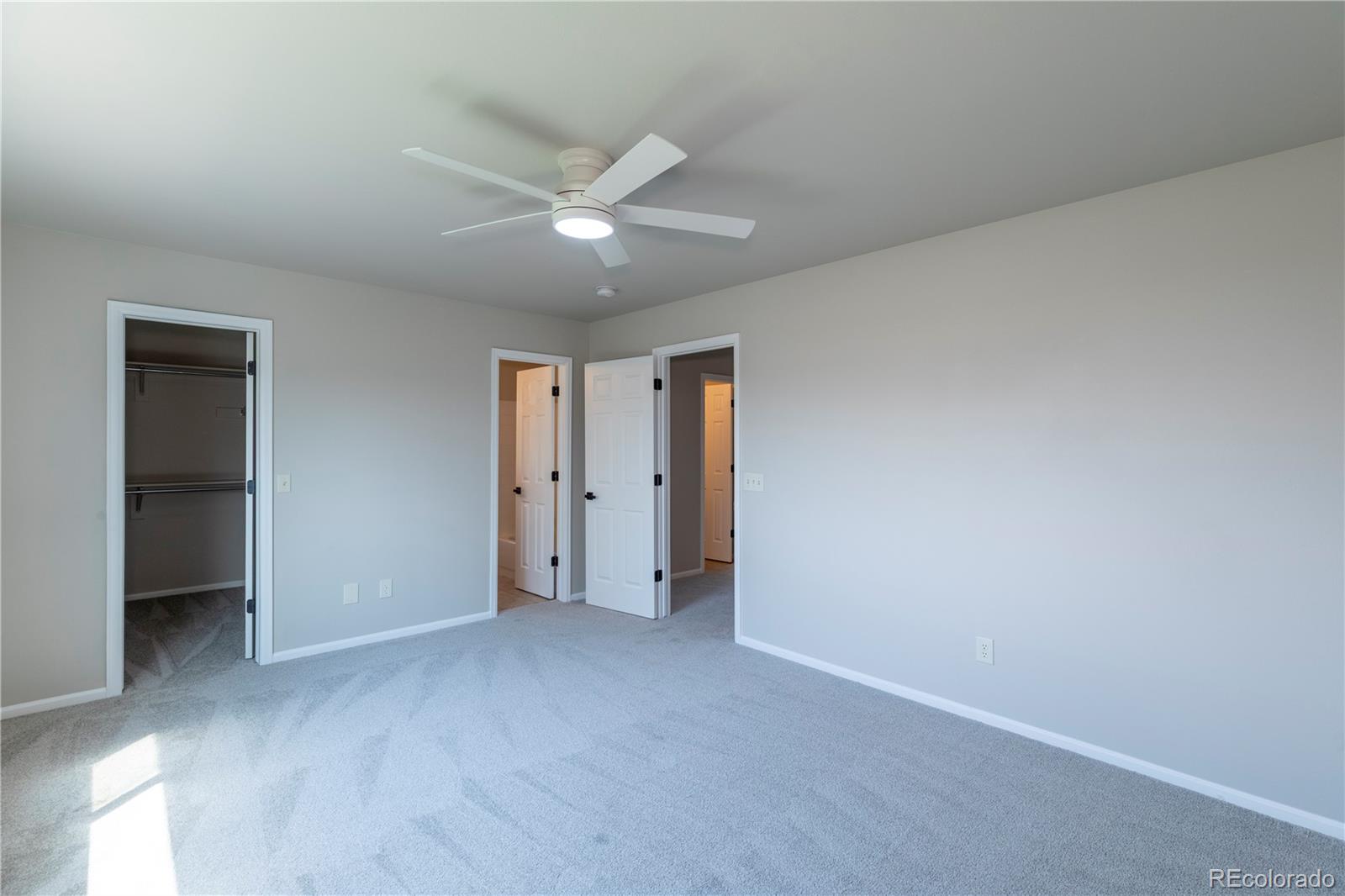 MLS Image #11 for 4590  wakefield avenue,castle rock, Colorado