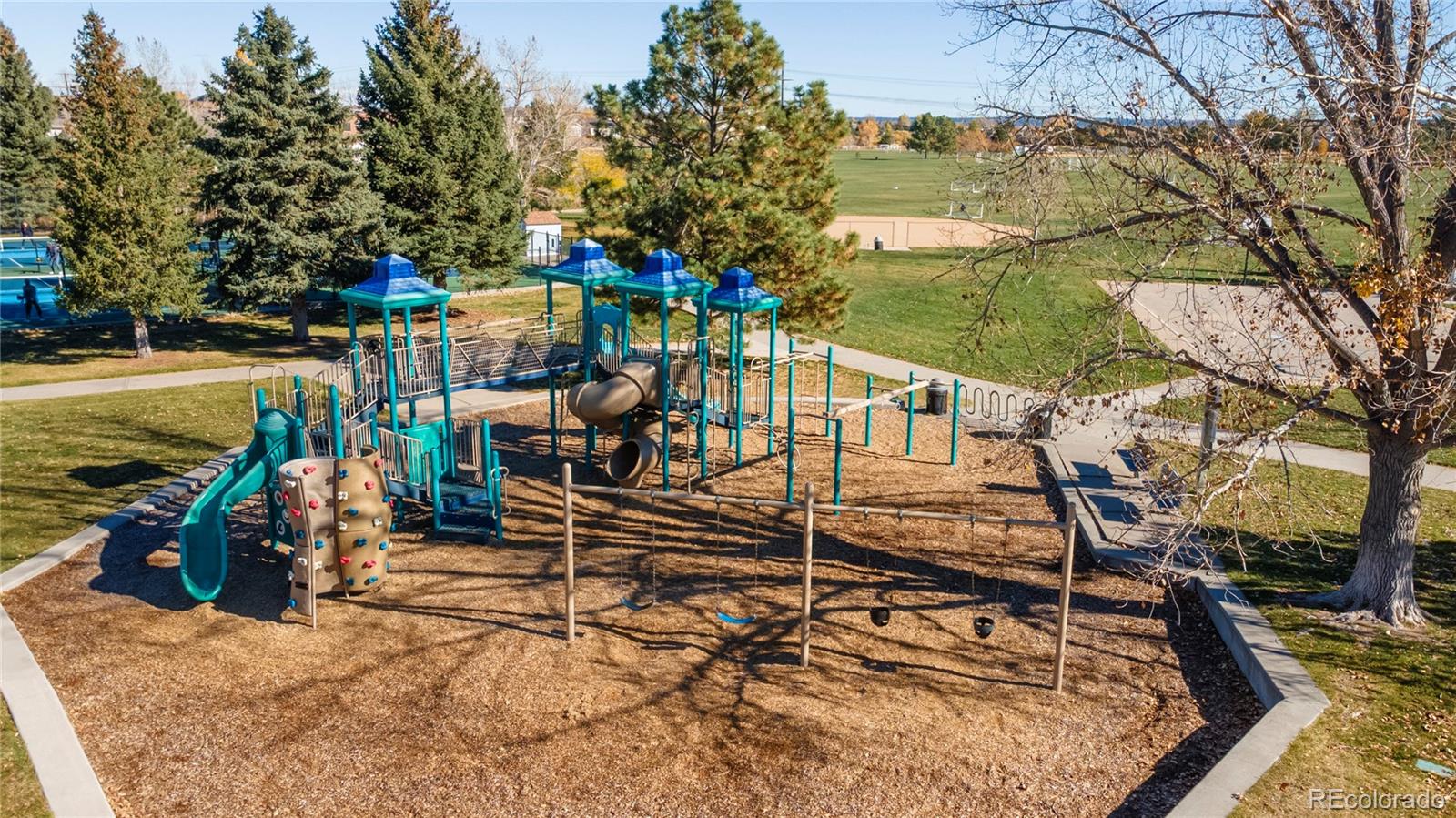 MLS Image #33 for 4590  wakefield avenue,castle rock, Colorado