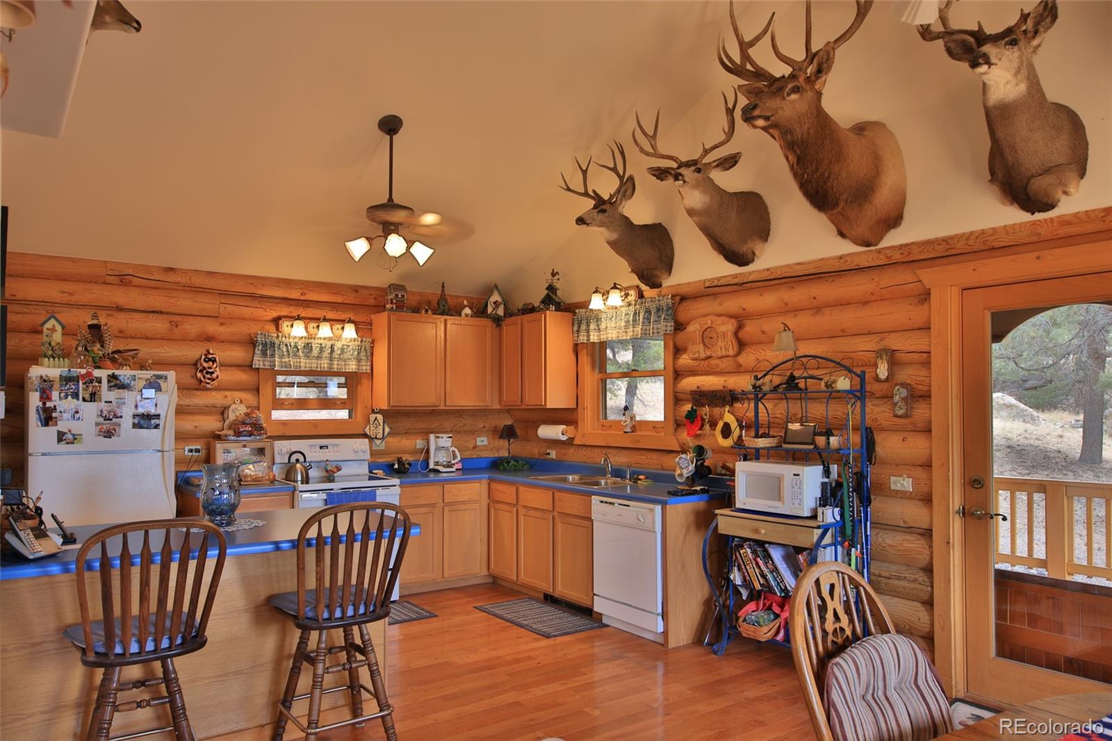 MLS Image #10 for 18842  kimball creek road,collbran, Colorado