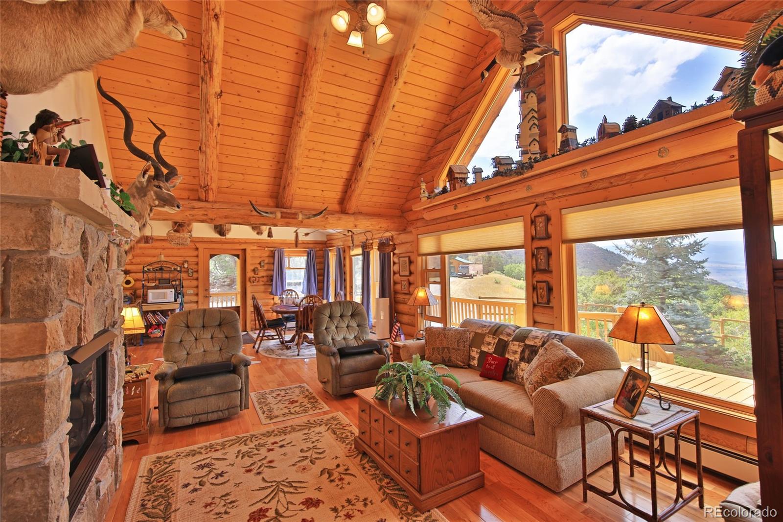 MLS Image #12 for 18842  kimball creek road,collbran, Colorado