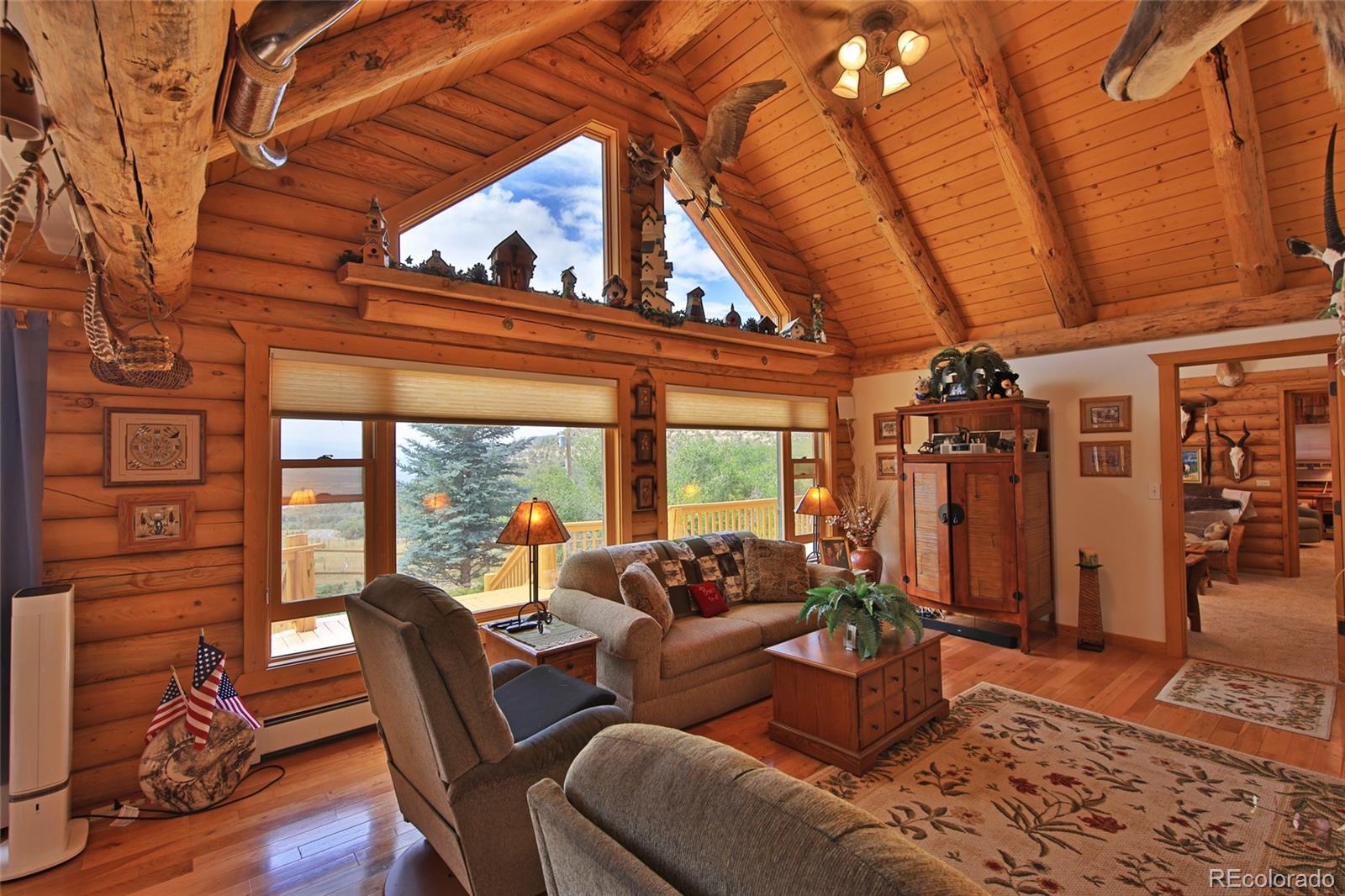 MLS Image #13 for 18842  kimball creek road,collbran, Colorado