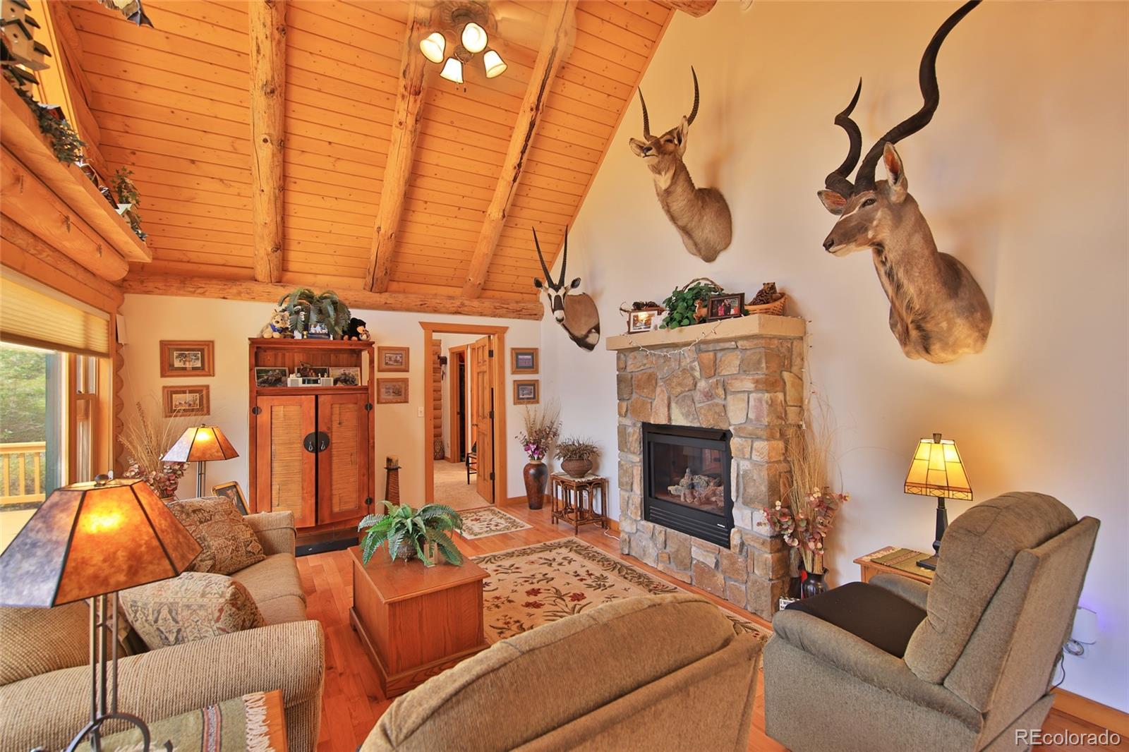 MLS Image #14 for 18842  kimball creek road,collbran, Colorado