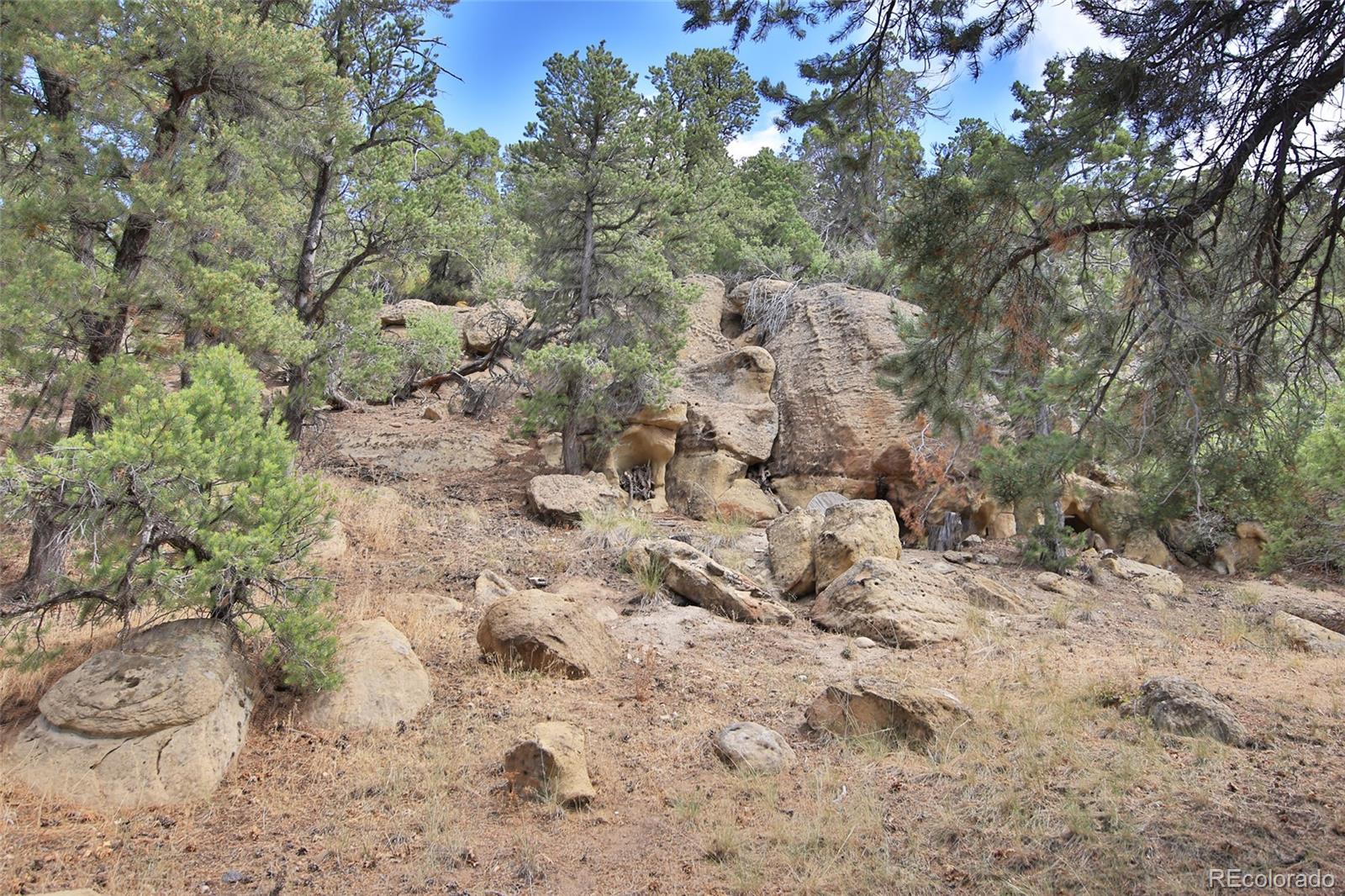MLS Image #36 for 18842  kimball creek road,collbran, Colorado