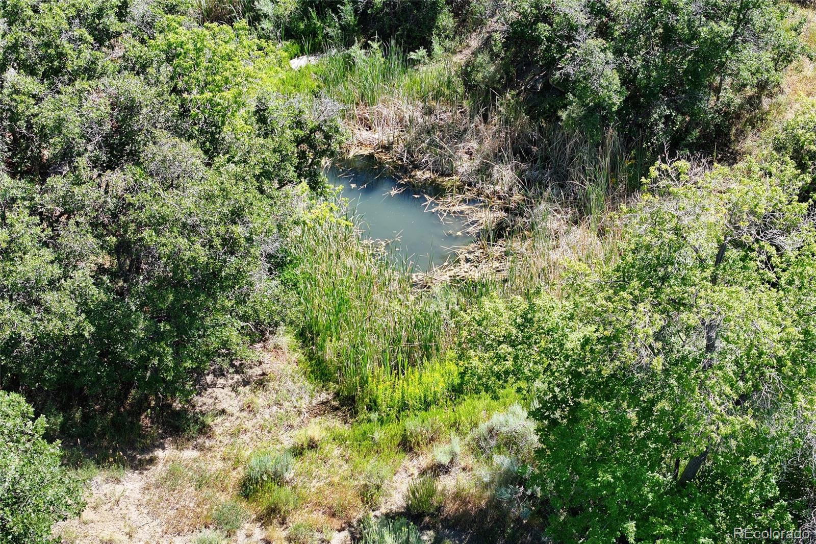 MLS Image #37 for 18842  kimball creek road,collbran, Colorado
