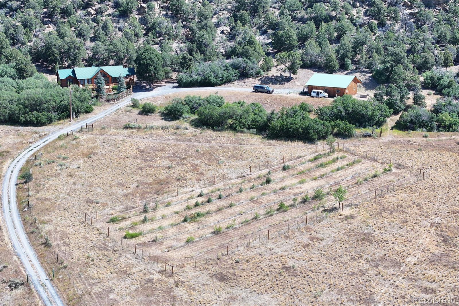 MLS Image #4 for 18842  kimball creek road,collbran, Colorado
