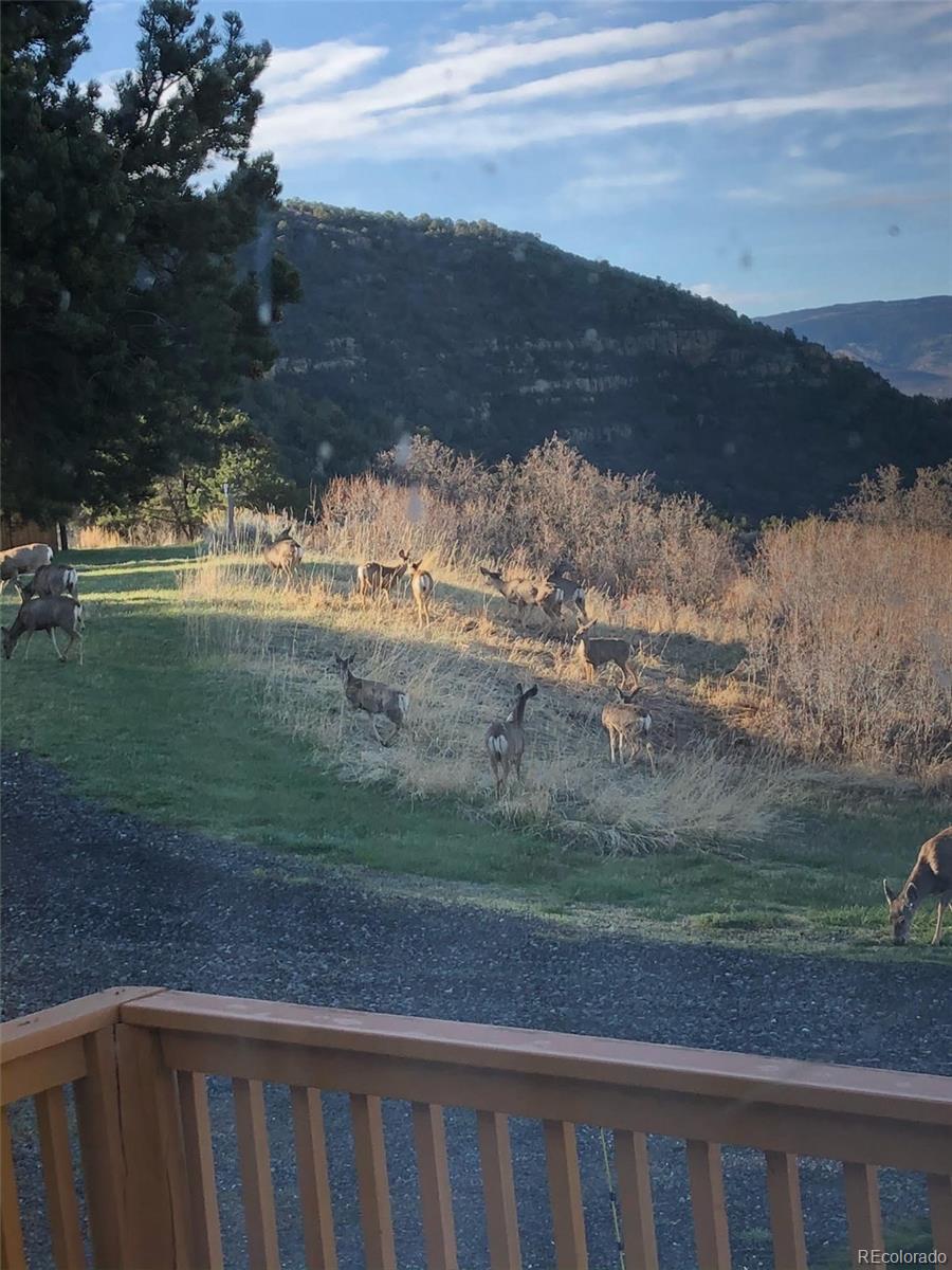MLS Image #46 for 18842  kimball creek road,collbran, Colorado