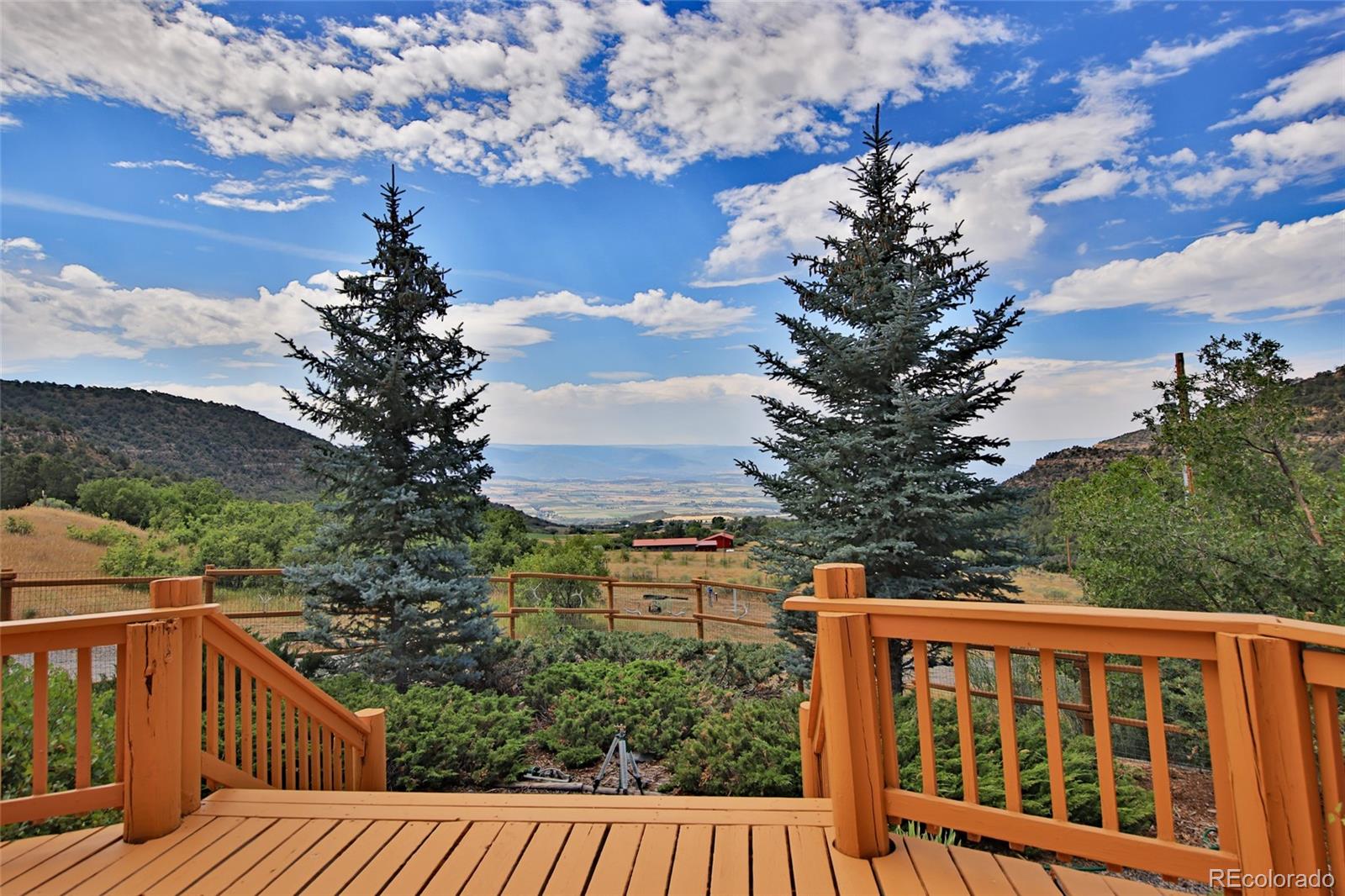 MLS Image #5 for 18842  kimball creek road,collbran, Colorado