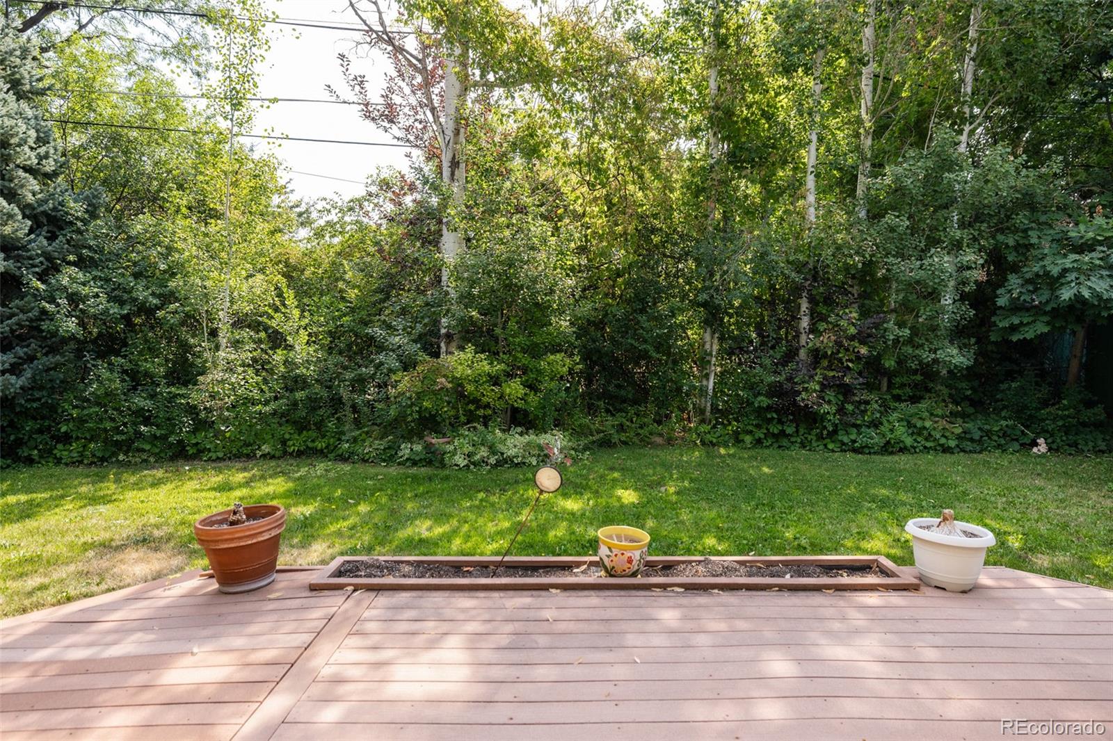 MLS Image #21 for 290  krameria street,denver, Colorado