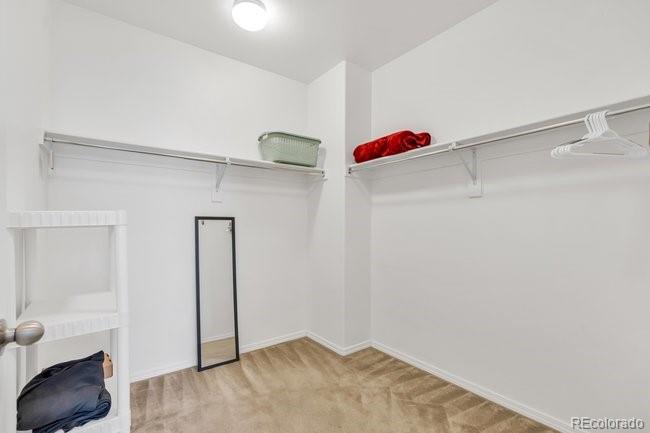 MLS Image #23 for 4790  wells branch heights 204,colorado springs, Colorado