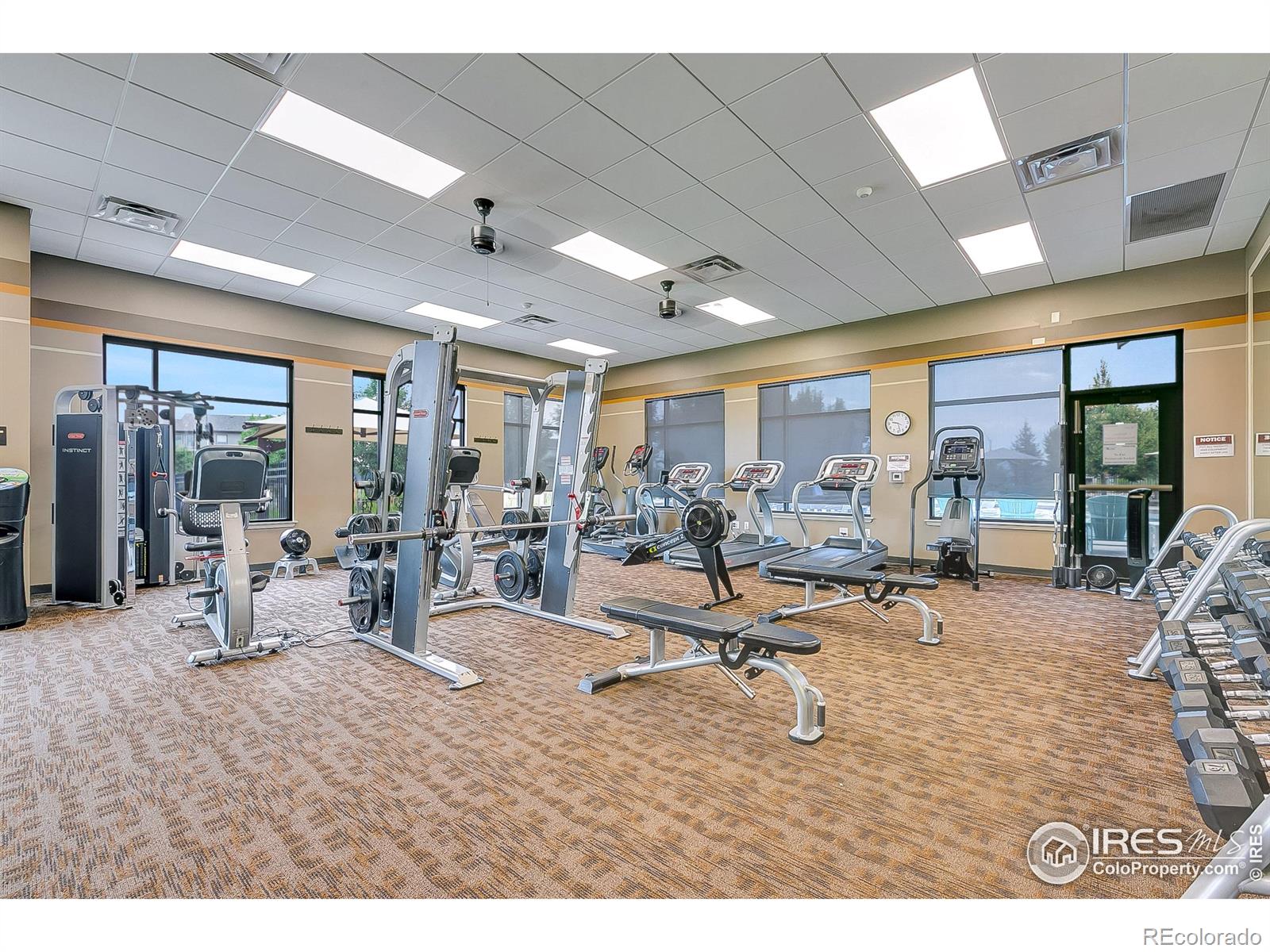 MLS Image #42 for 6045  medlar place,fort collins, Colorado