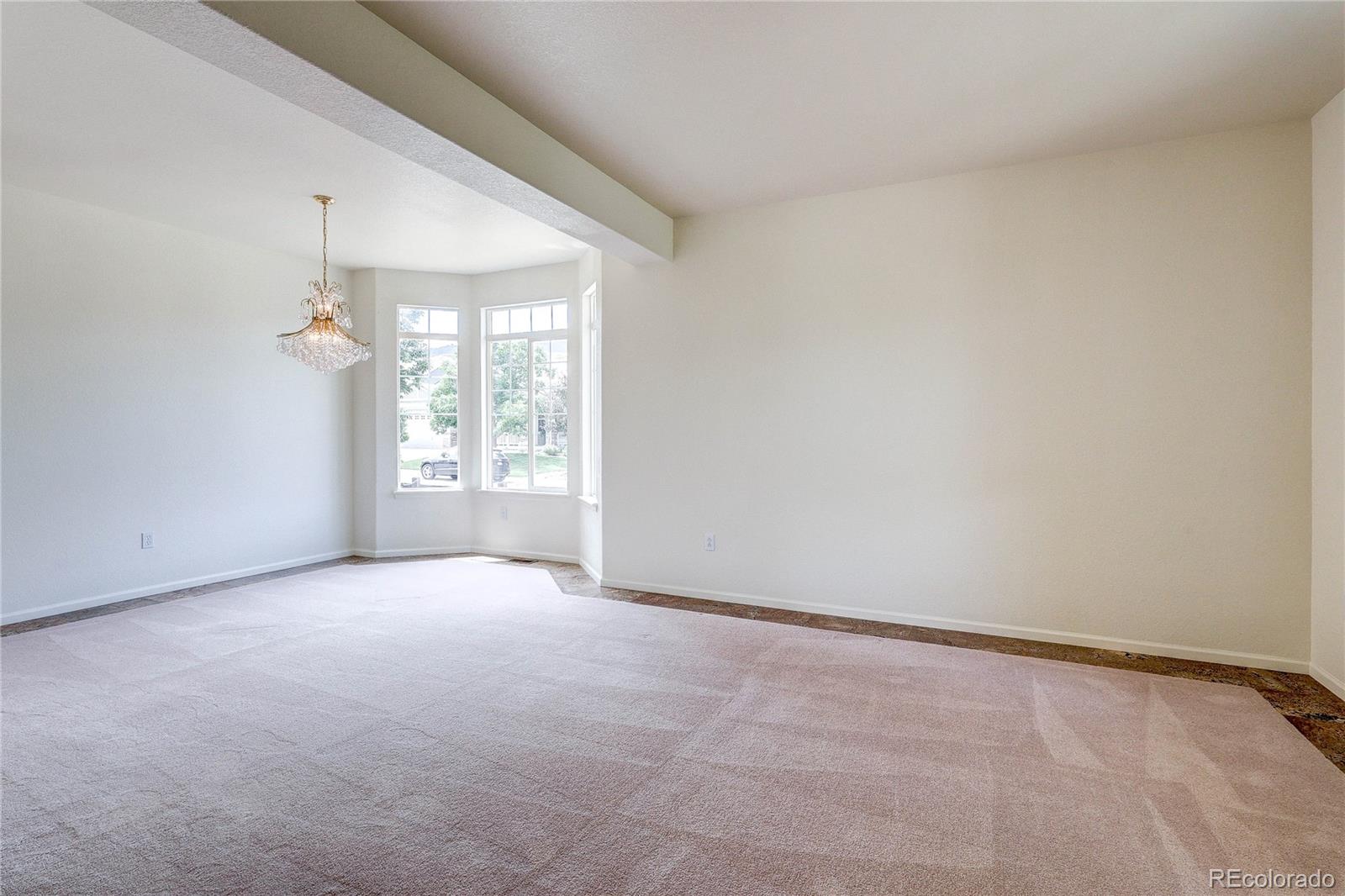 MLS Image #17 for 10594  wildhorse lane,littleton, Colorado