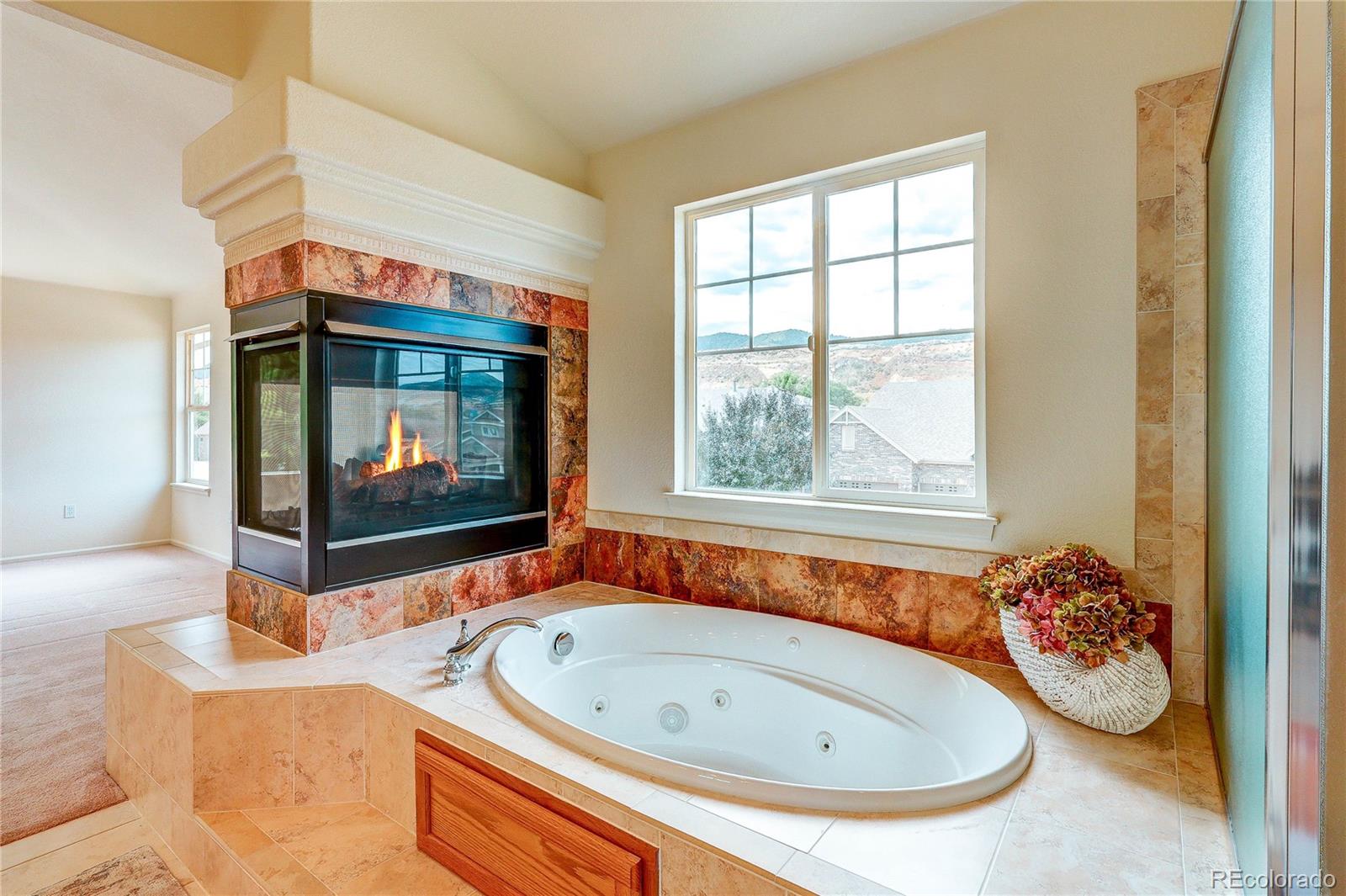 MLS Image #27 for 10594  wildhorse lane,littleton, Colorado