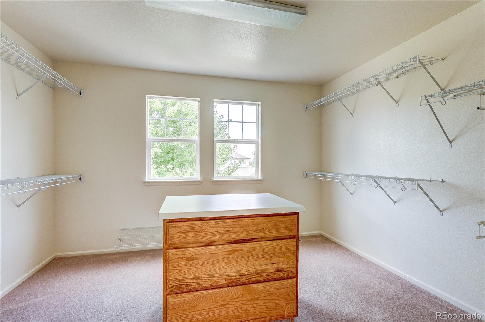 MLS Image #28 for 10594  wildhorse lane,littleton, Colorado