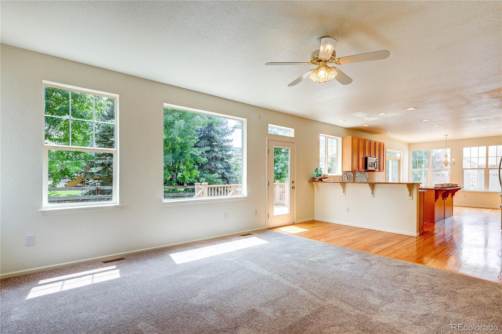 MLS Image #8 for 10594  wildhorse lane,littleton, Colorado