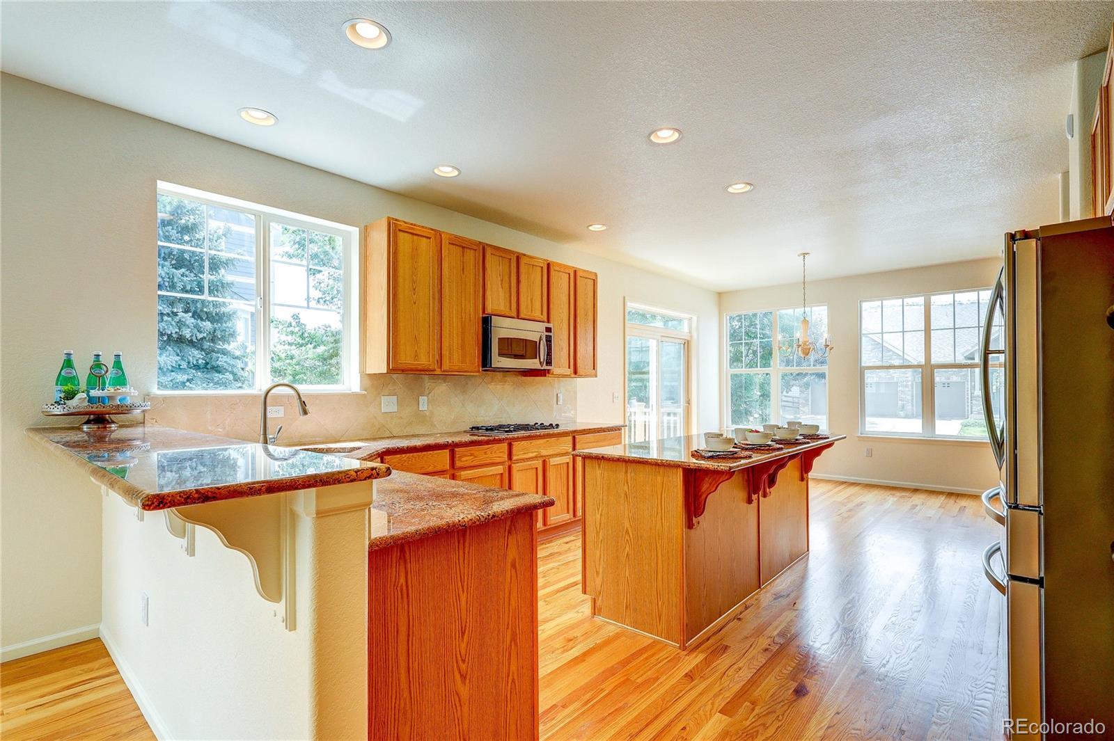 MLS Image #9 for 10594  wildhorse lane,littleton, Colorado