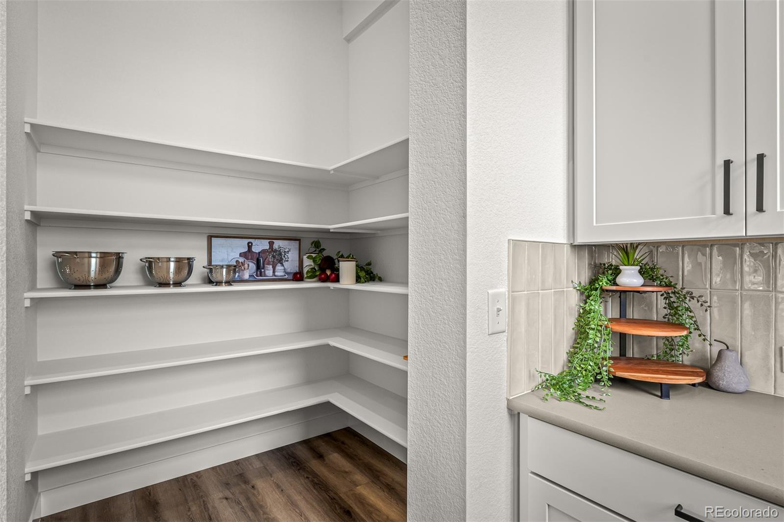 MLS Image #10 for 17129  alsike clover court,monument, Colorado