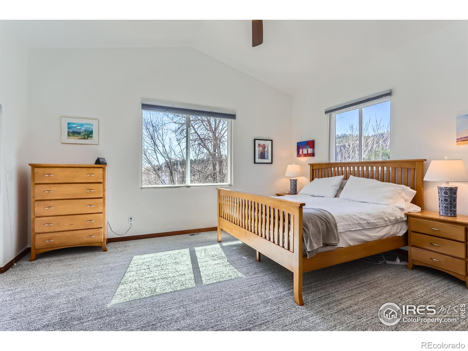 MLS Image #17 for 105  eagle canyon circle,lyons, Colorado