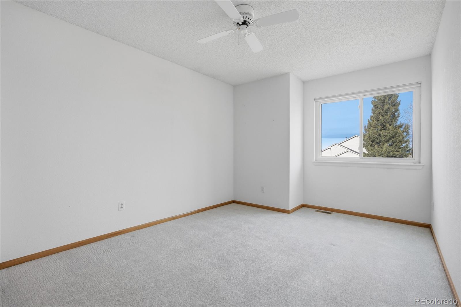 MLS Image #21 for 11657  laurel lane,parker, Colorado