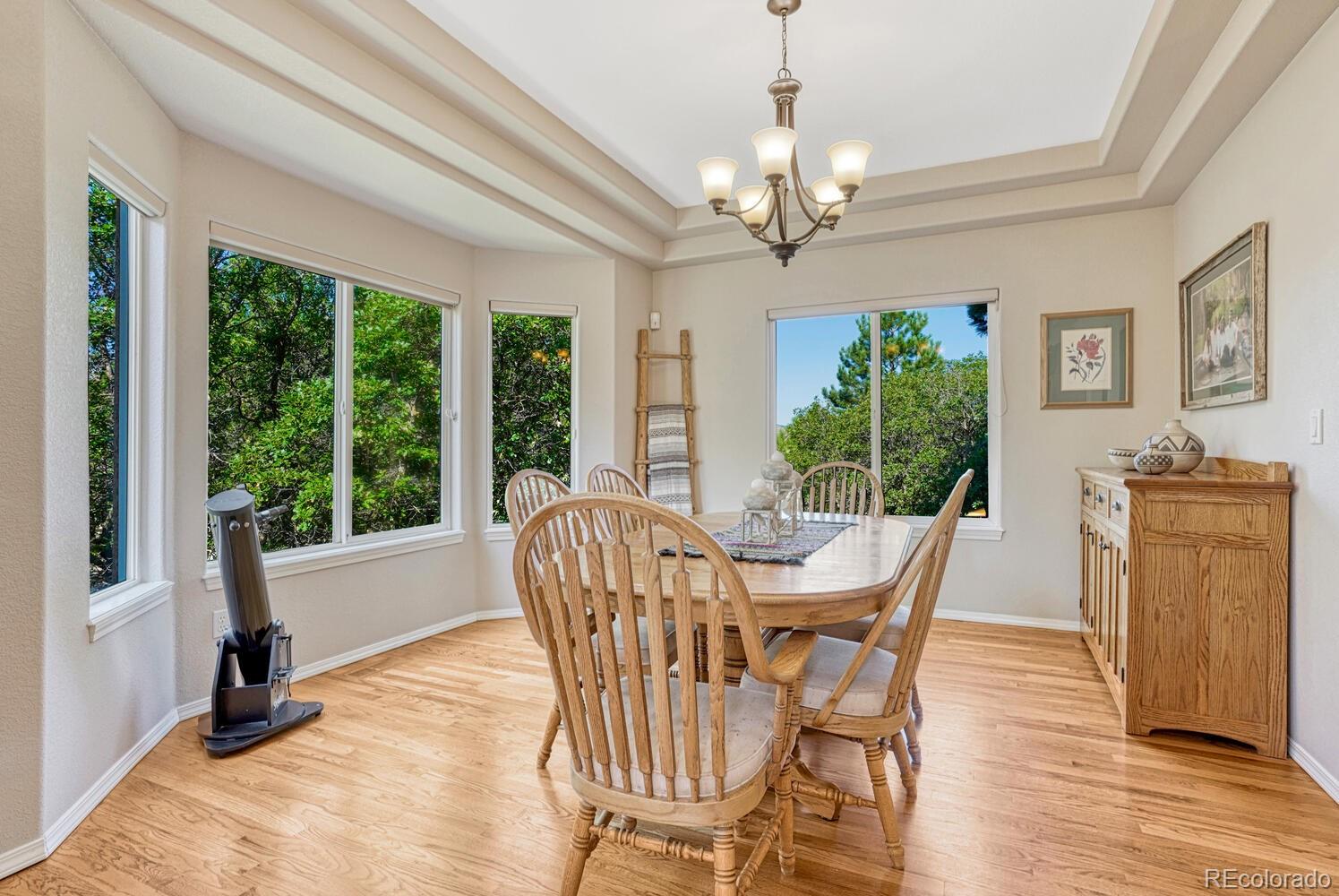 MLS Image #10 for 1580  capadaro court,monument, Colorado