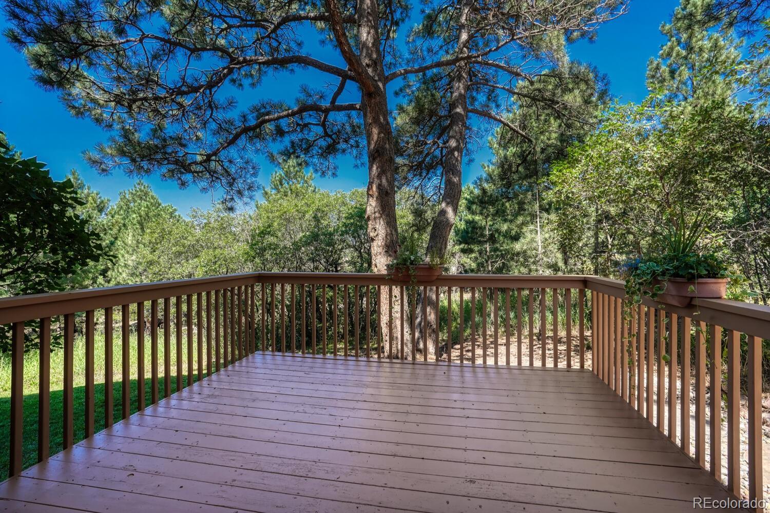 MLS Image #44 for 1580  capadaro court,monument, Colorado