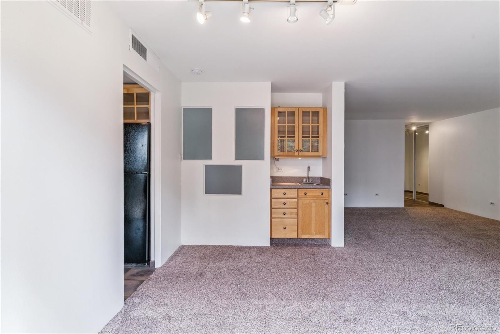 MLS Image #12 for 700 n washington street 201,denver, Colorado