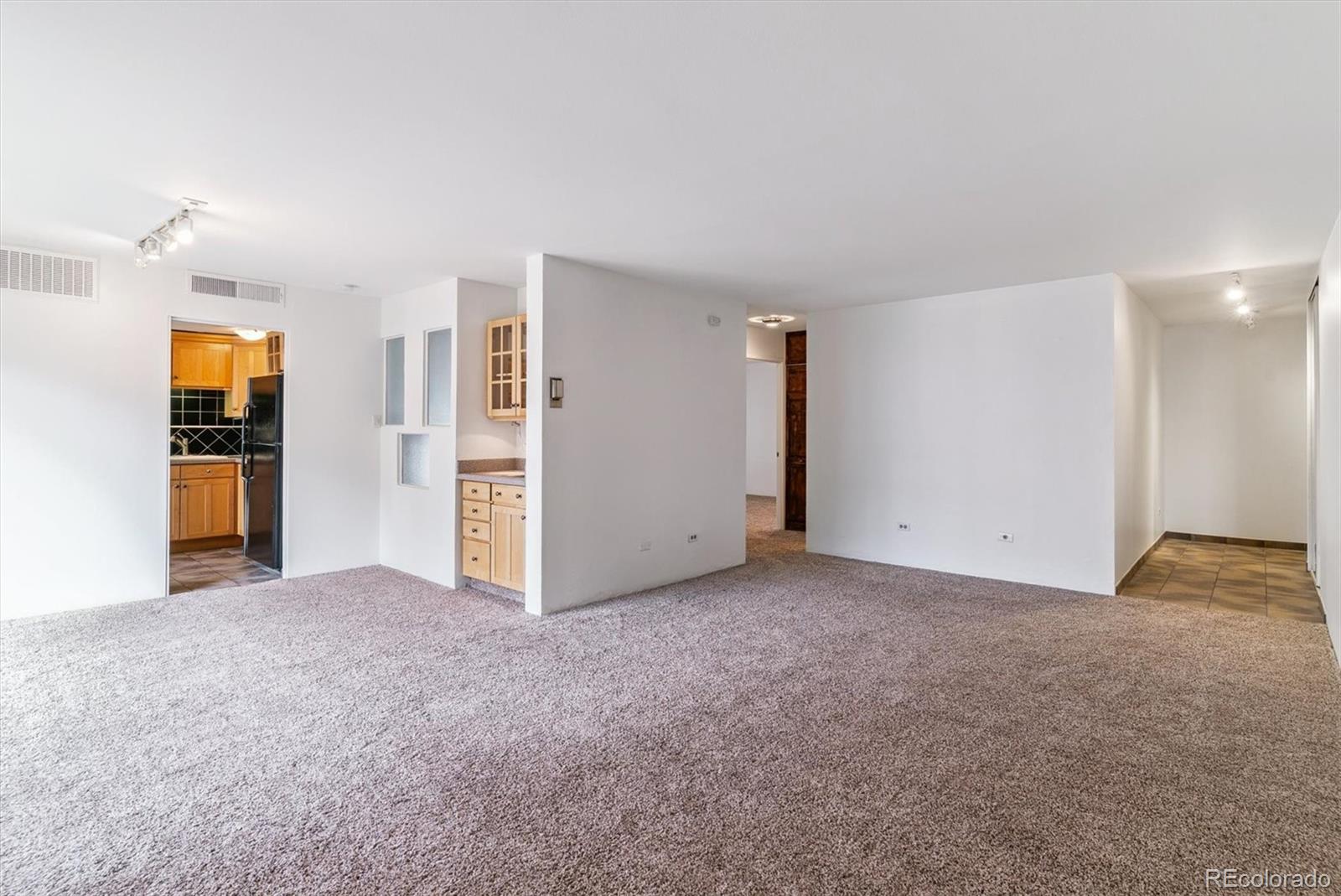 MLS Image #9 for 700 n washington street 201,denver, Colorado