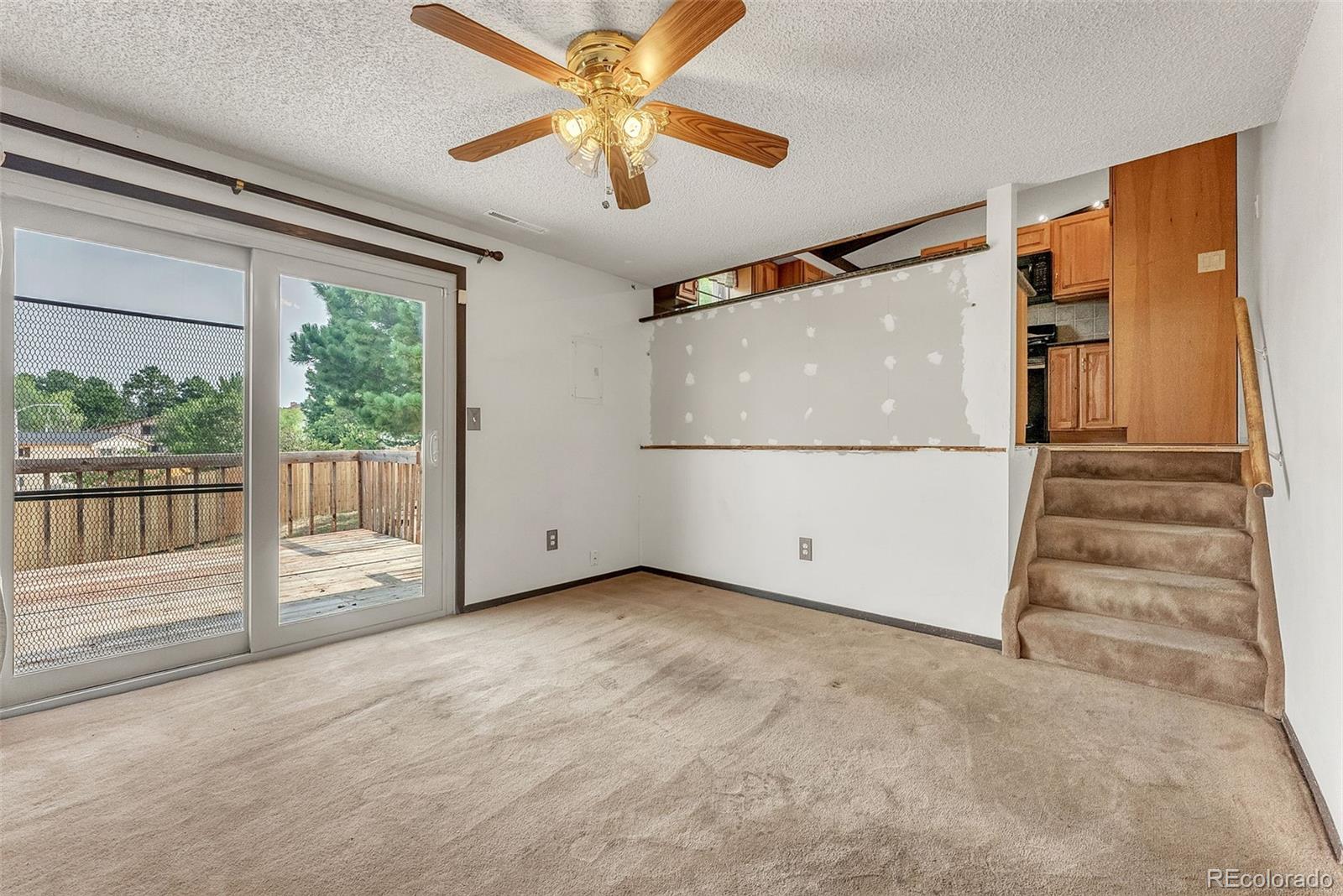 MLS Image #20 for 5210  coneflower lane,colorado springs, Colorado