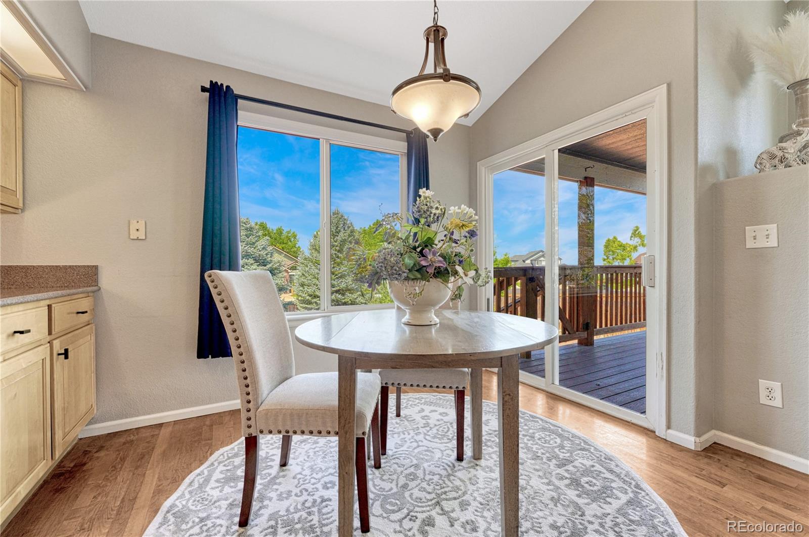 MLS Image #11 for 21701  swale avenue,parker, Colorado
