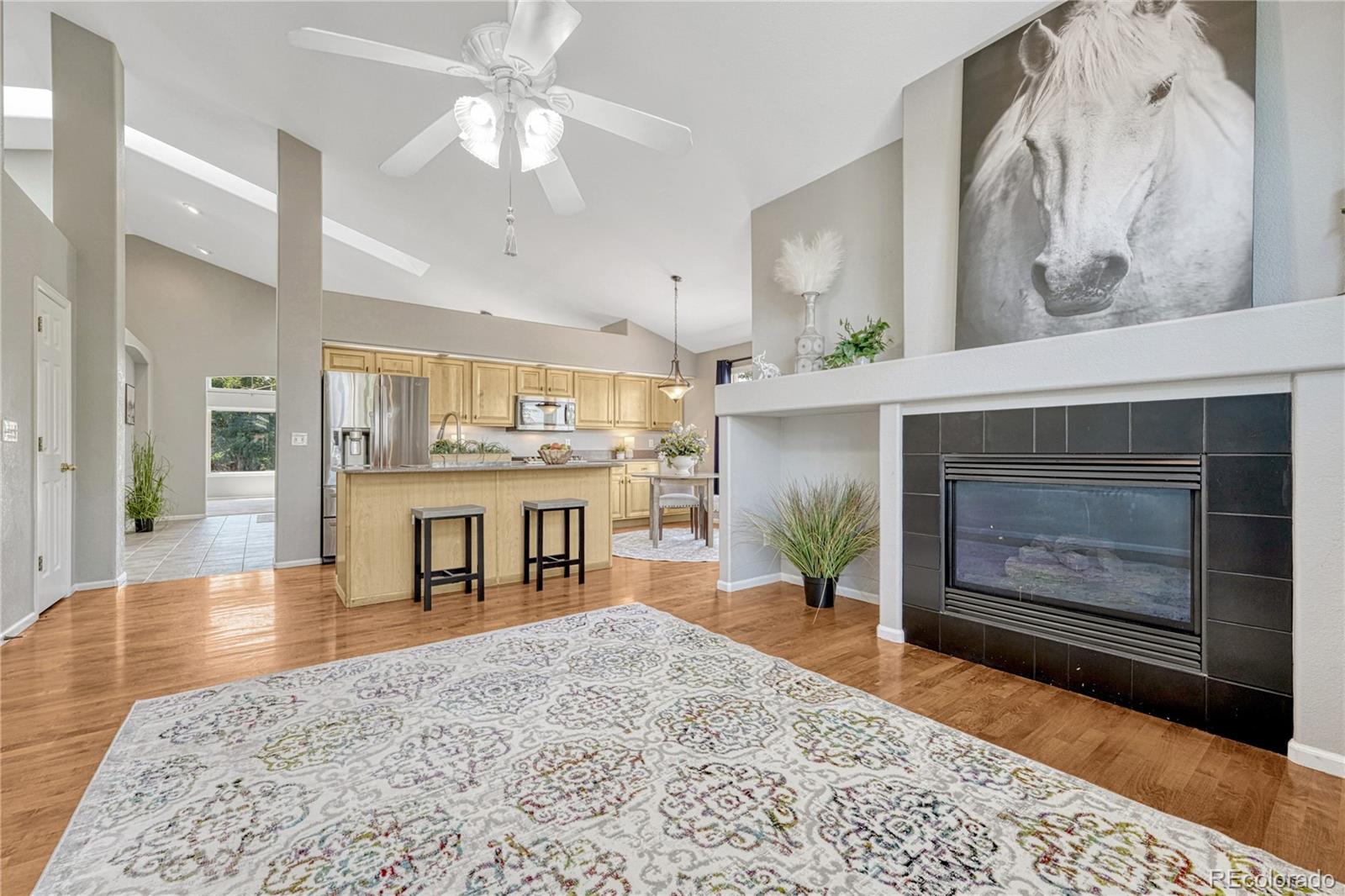 MLS Image #14 for 21701  swale avenue,parker, Colorado