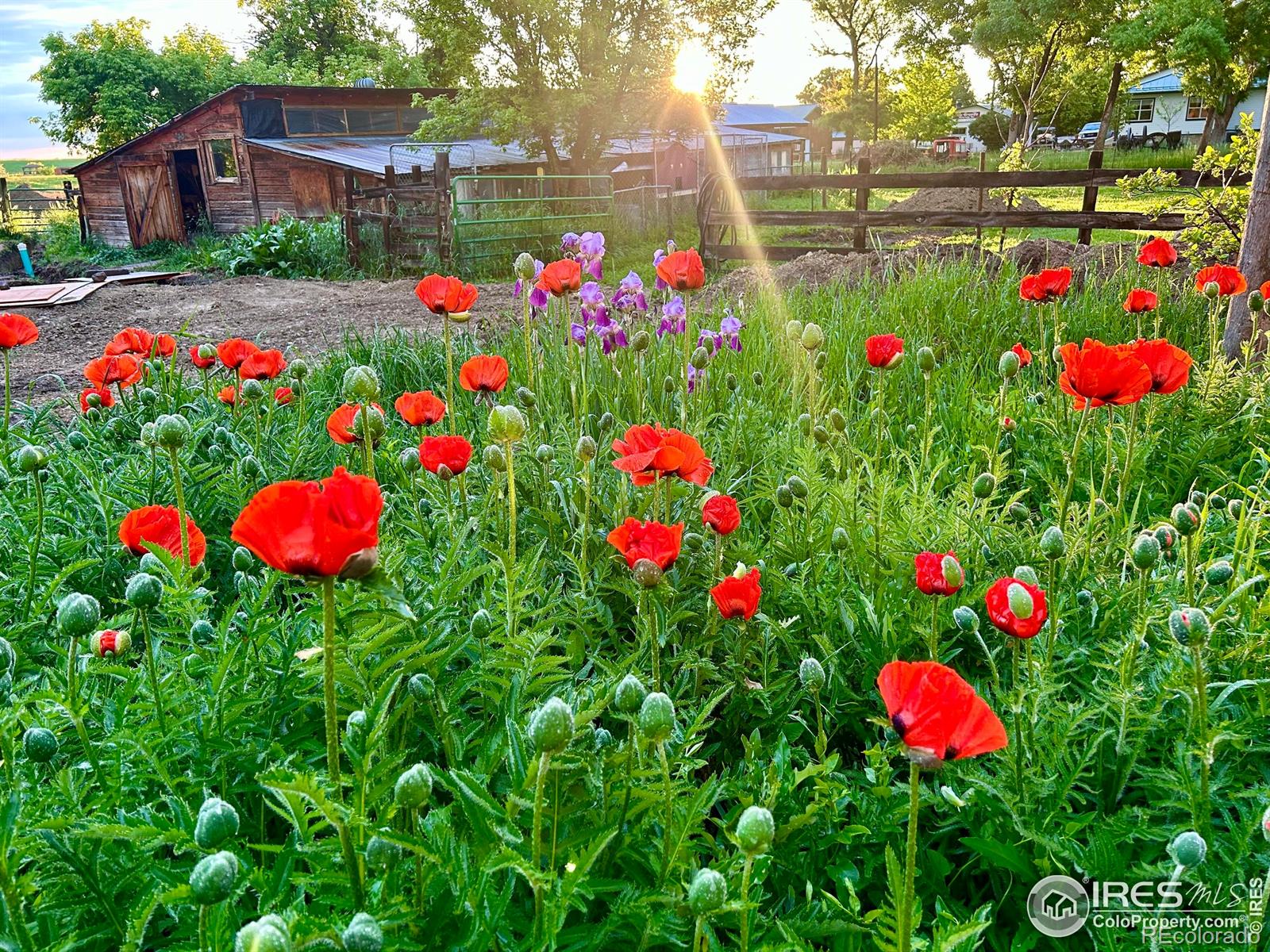 MLS Image #31 for 4743  jay road,boulder, Colorado