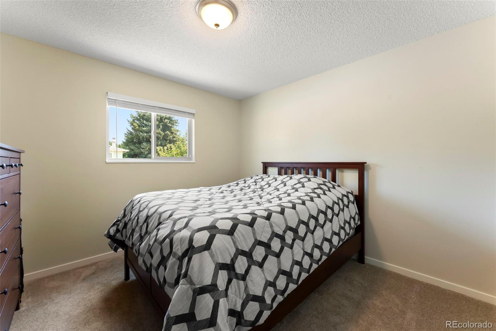 MLS Image #13 for 5702  tuckerman lane,colorado springs, Colorado