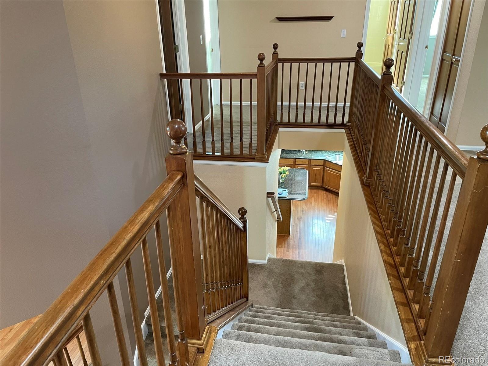 MLS Image #12 for 1149  larch court,broomfield, Colorado