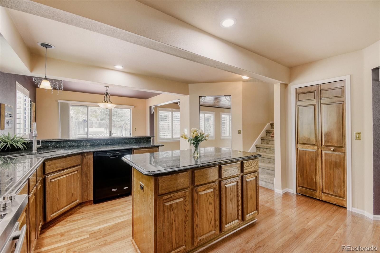 MLS Image #7 for 1149  larch court,broomfield, Colorado