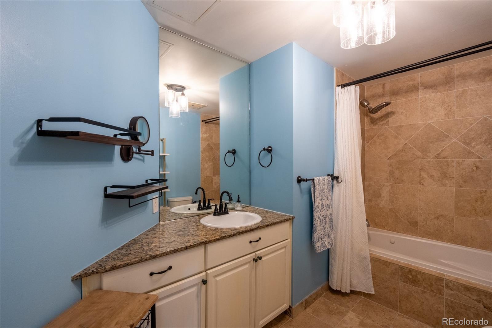MLS Image #15 for 925 n lincoln street,denver, Colorado