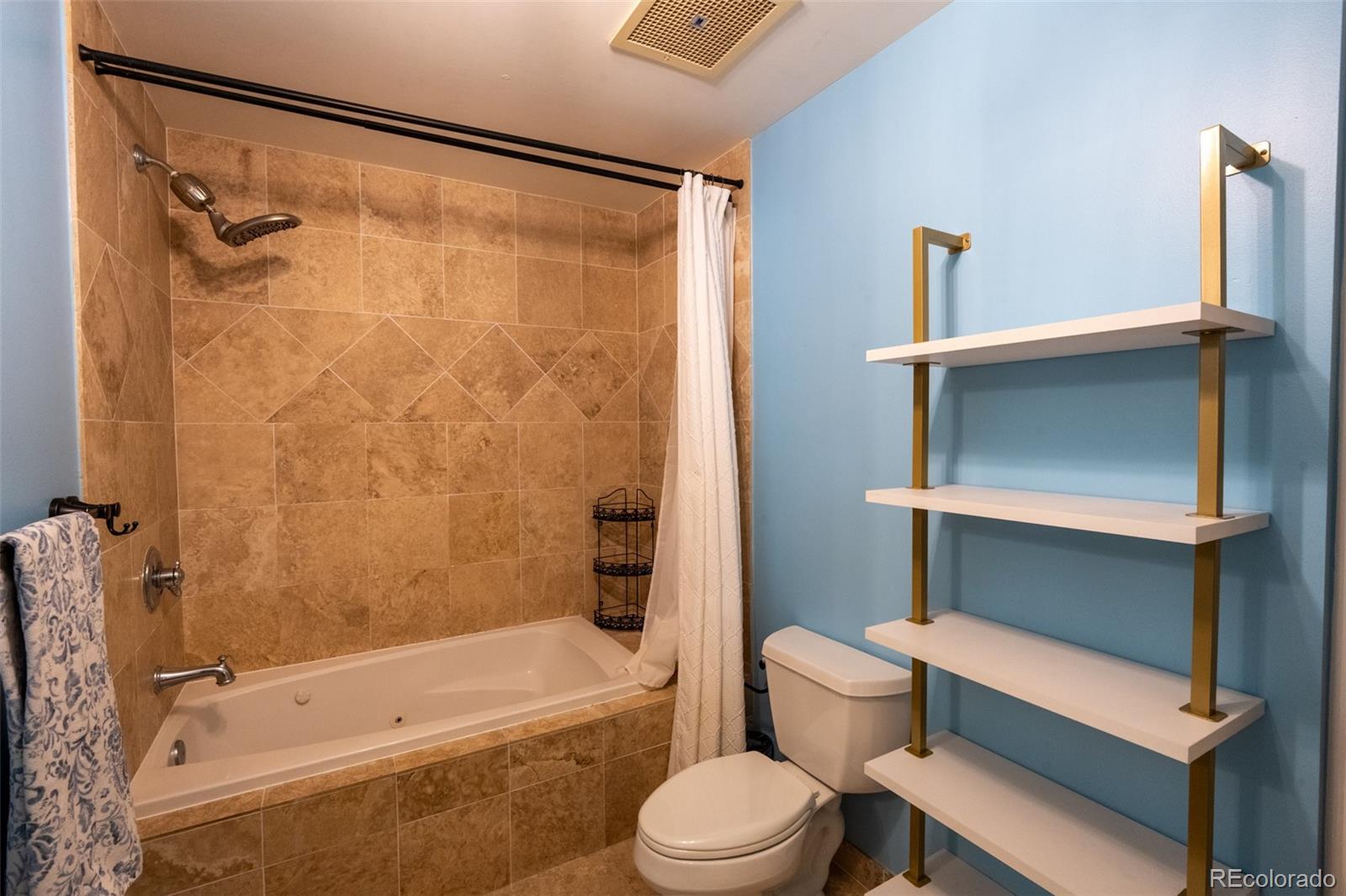 MLS Image #16 for 925 n lincoln street,denver, Colorado