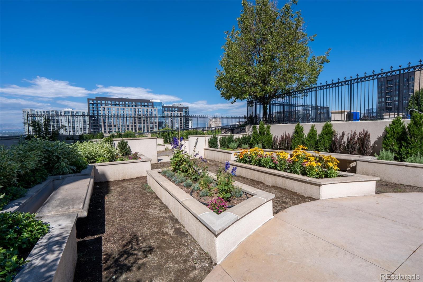 MLS Image #26 for 925 n lincoln street,denver, Colorado