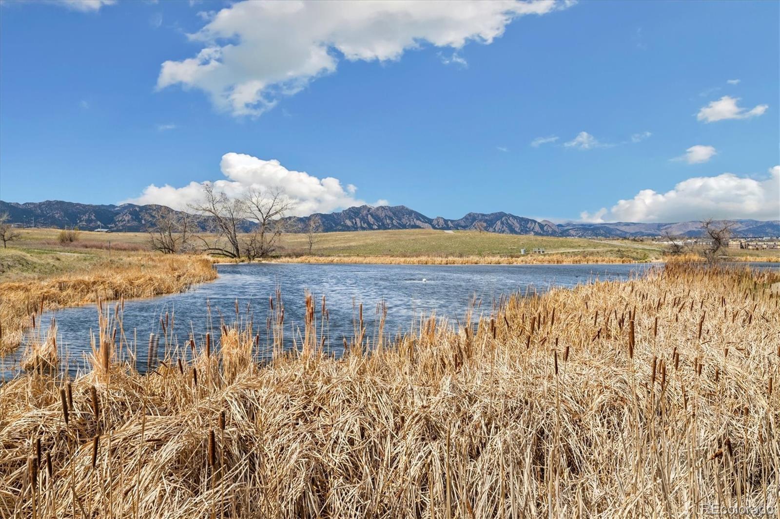 MLS Image #30 for 2191  ridge drive,broomfield, Colorado