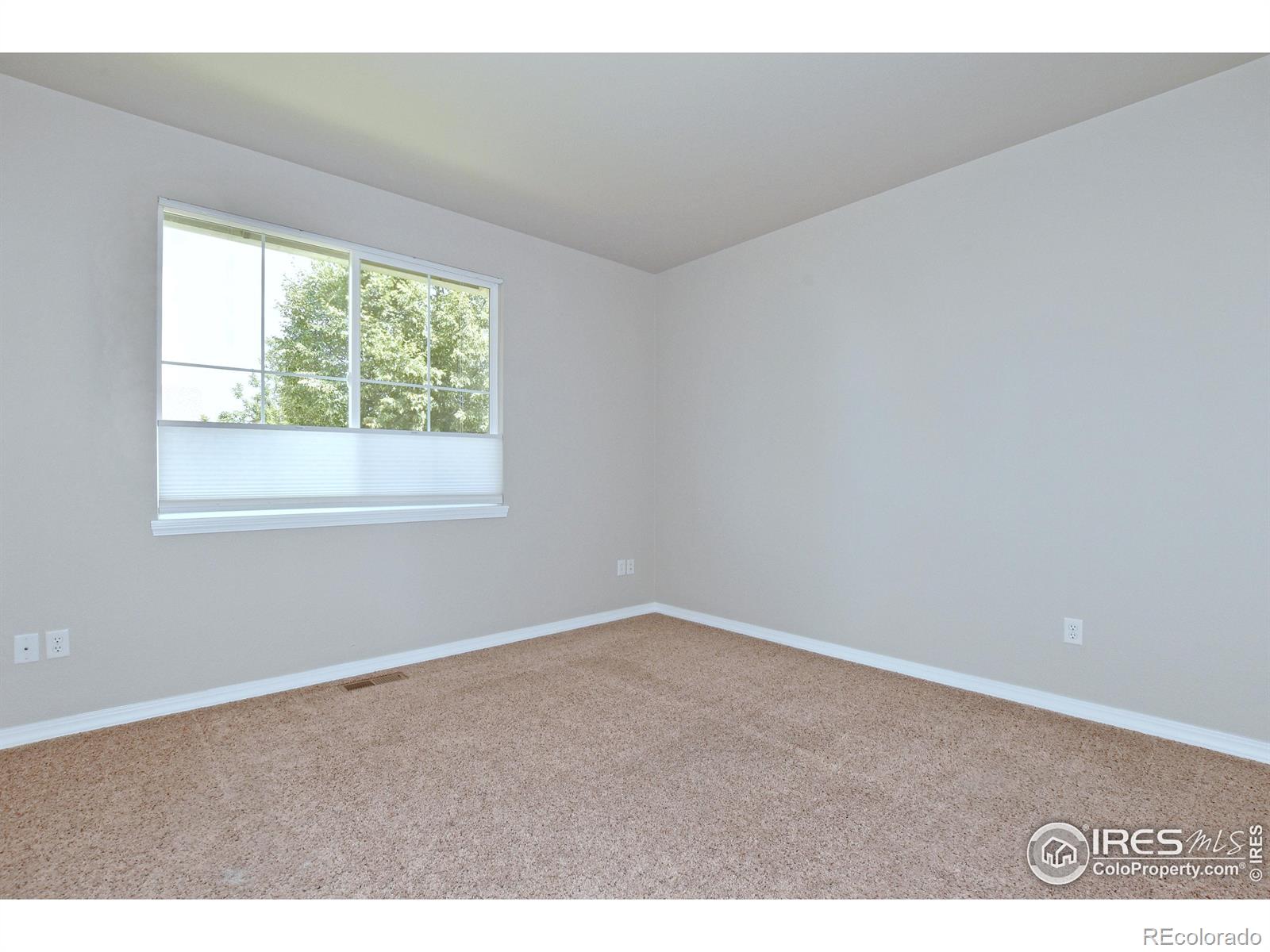 MLS Image #18 for 2127  nancy gray avenue,fort collins, Colorado