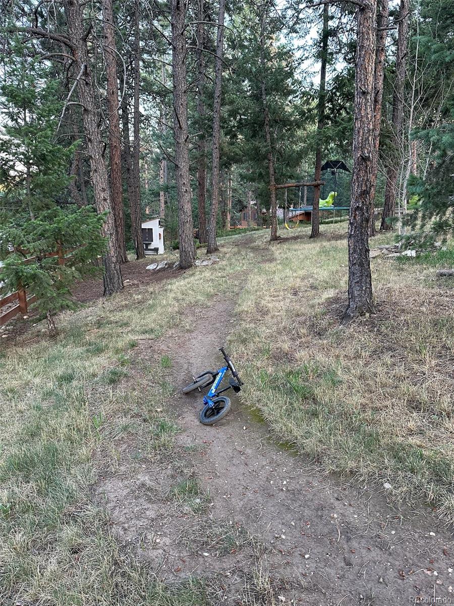 MLS Image #40 for 974  wagon trail road,evergreen, Colorado