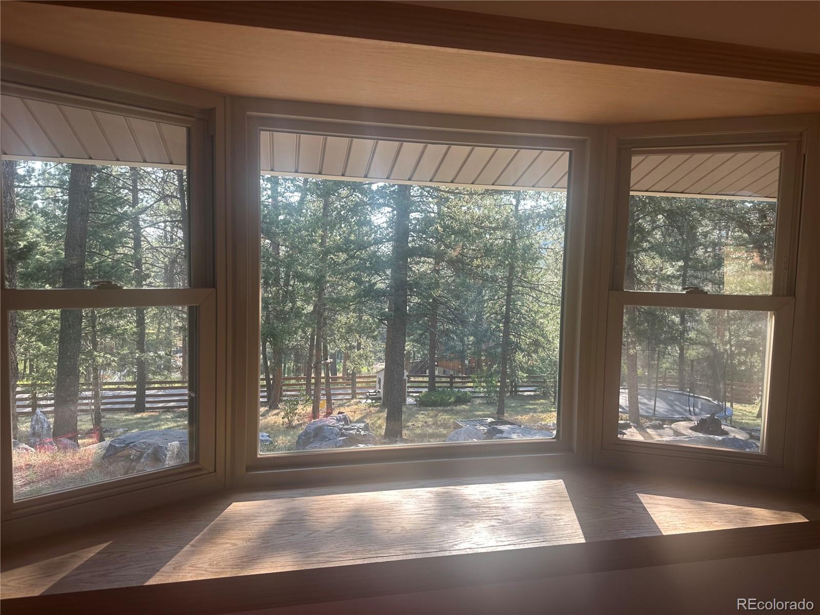 MLS Image #6 for 974  wagon trail road,evergreen, Colorado