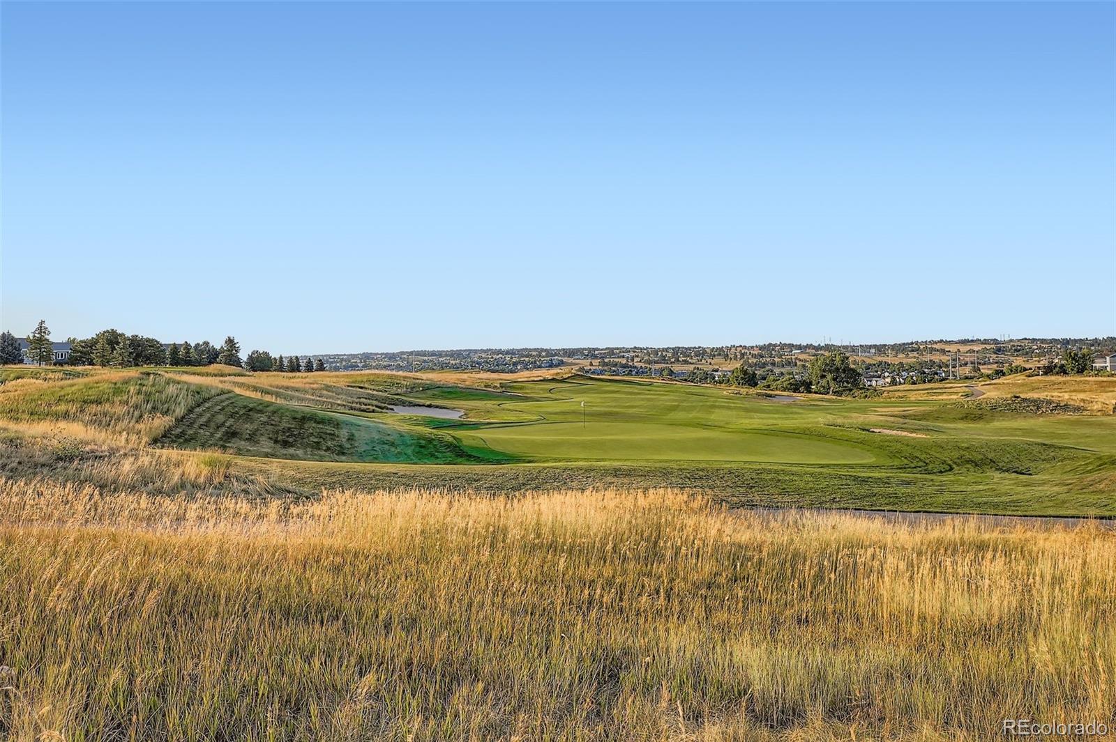 MLS Image #47 for 11656  pine canyon drive,parker, Colorado