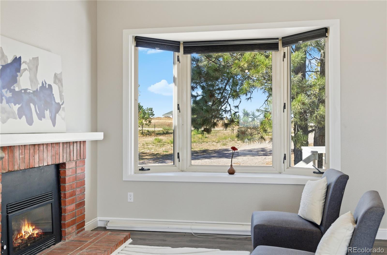 MLS Image #13 for 8692  lariat loop,elizabeth, Colorado
