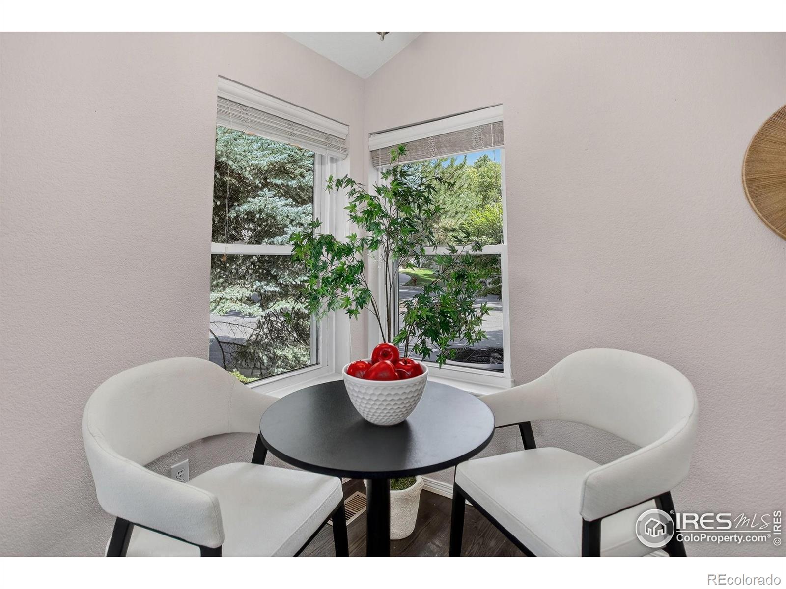 MLS Image #12 for 229  springs drive,louisville, Colorado