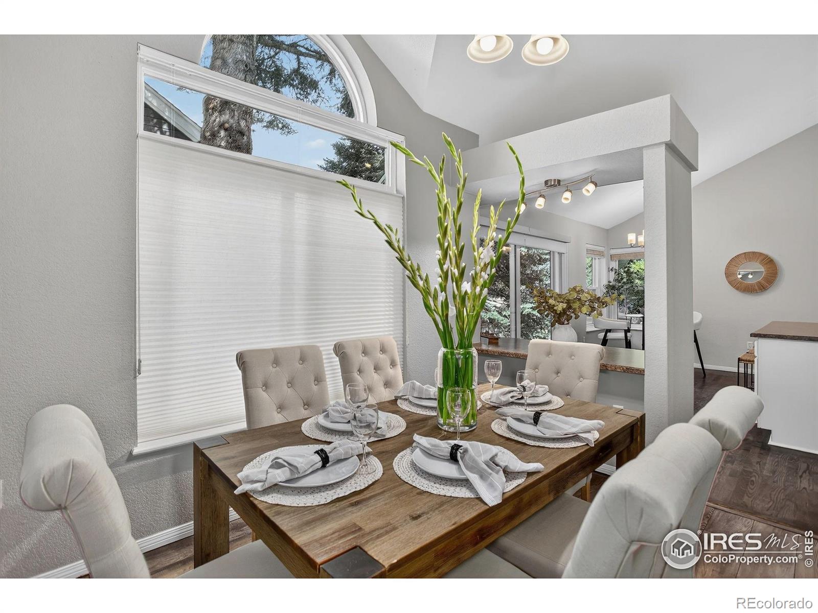 MLS Image #28 for 229  springs drive,louisville, Colorado