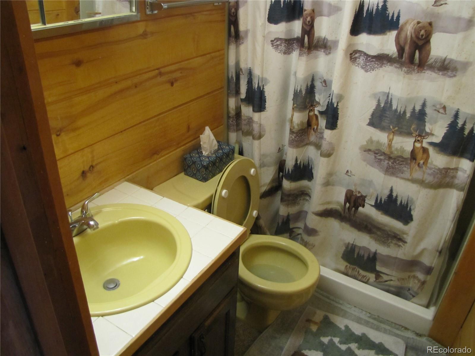 MLS Image #17 for 1087  pulver road,lake george, Colorado
