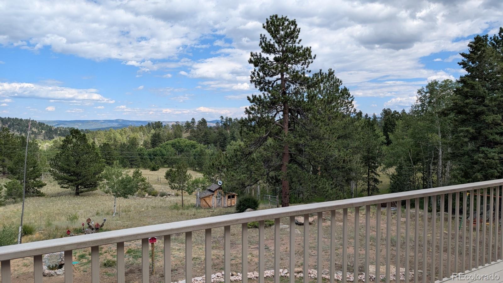MLS Image #20 for 1087  pulver road,lake george, Colorado