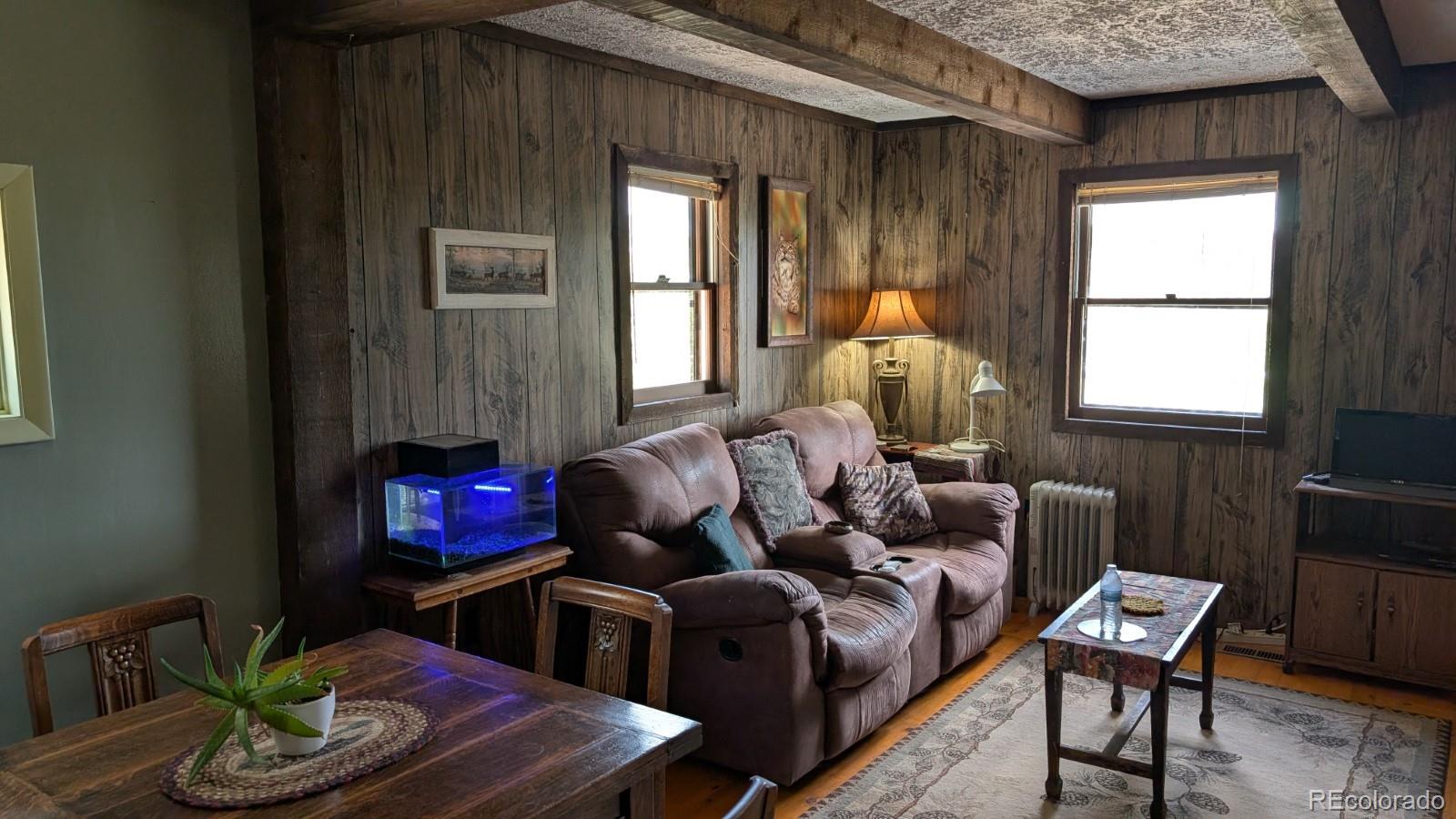 MLS Image #3 for 1087  pulver road,lake george, Colorado